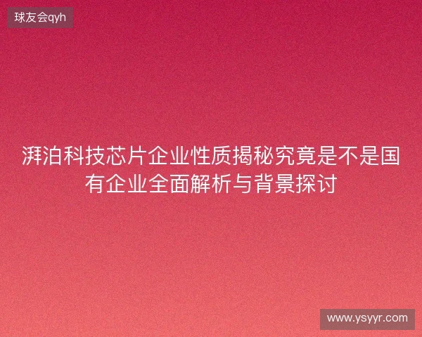 湃泊科技芯片企业性质揭秘究竟是不是国有企业全面解析与背景探讨